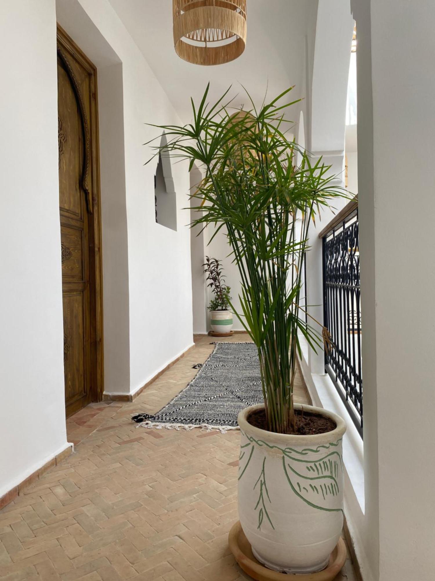 Riad & Spa Sous Le Soleil Chez Jerome Et Pamela Ch Zen Марракеш Екстер'єр фото